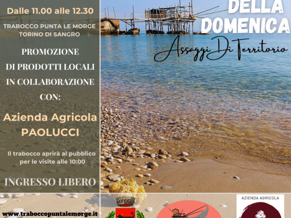 Degustazione Della Domenica (26/07/2026)